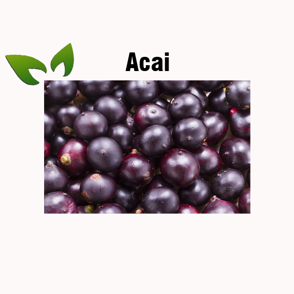 Acai nutrition facts