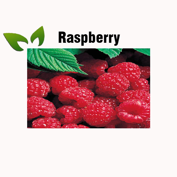 Raspberry nutrition facts