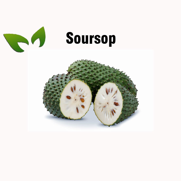 Soursop nutrition facts