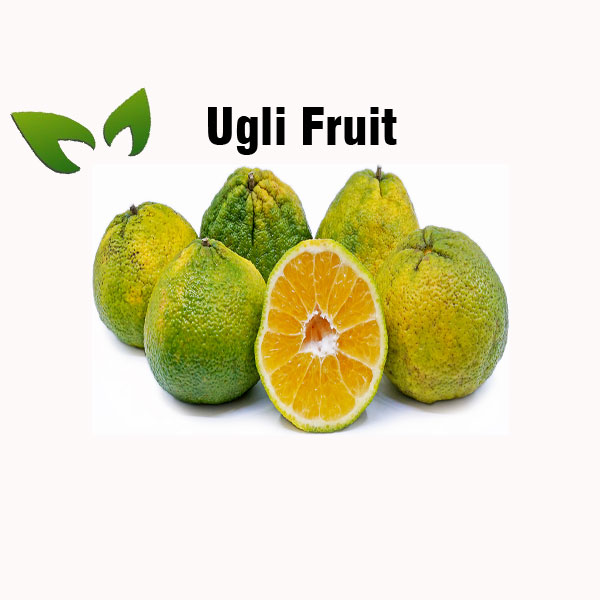 Ugli fruit nutrition facts