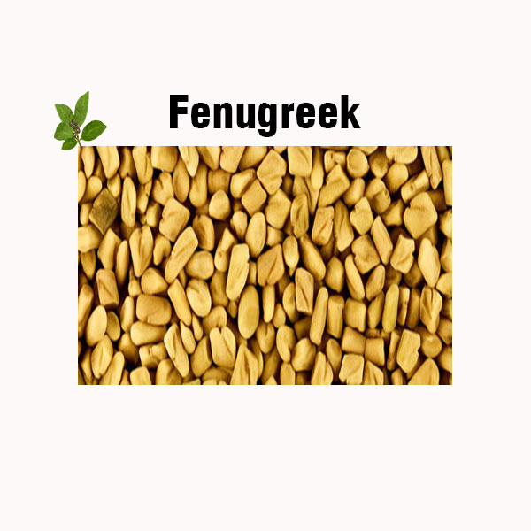 Fenugreek nutrition facts