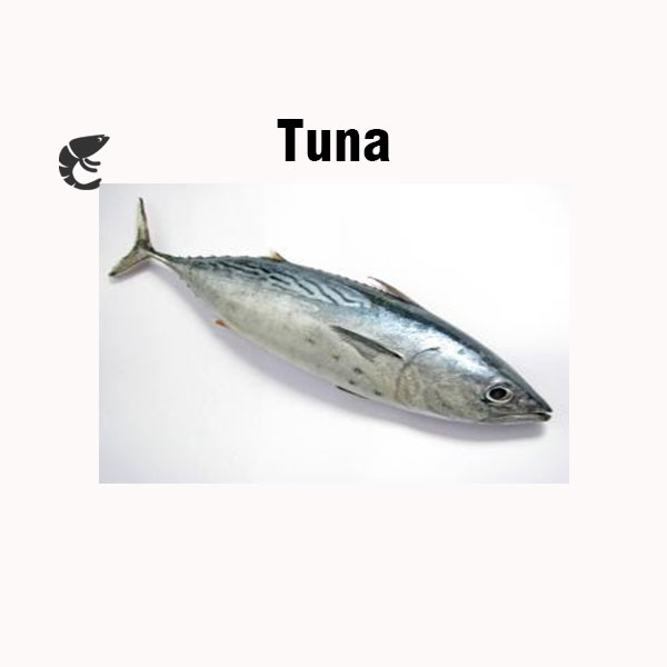 Tuna nutrition facts