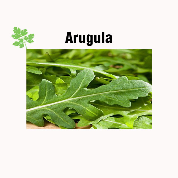 Arugula nutrition facts