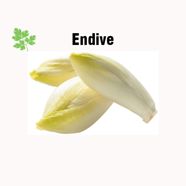 Endive nutrition facts