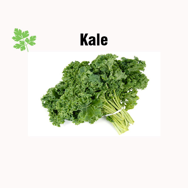 Kale nutrition facts