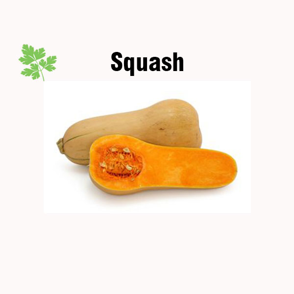 Squash nutrition facts